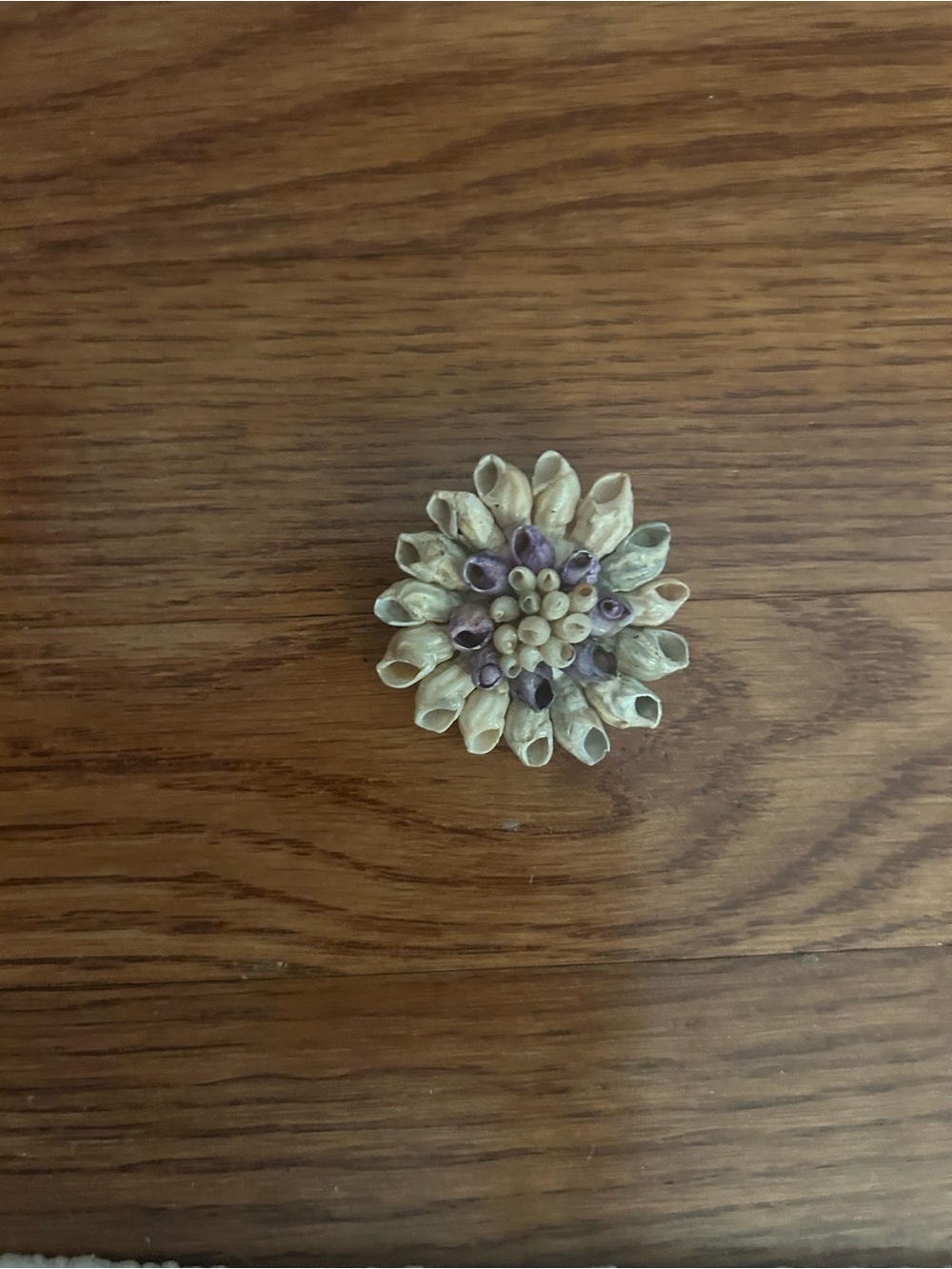 Vintage/Retro Inspired Coastal Grandmother Cream Violet/Purple Flower Broach